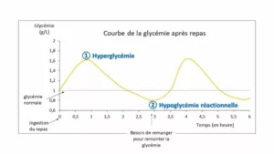 lalignea naturopathie sante holistique stock hypogyclémie reactionnelle : cuisineigbas com 